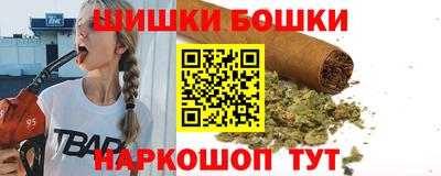 МДПВ Канаш