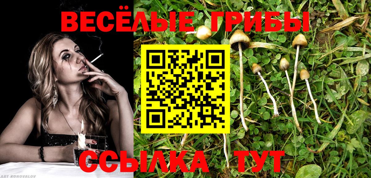 Галлюциногенные грибы MAGIC MUSHROOMS Пенза