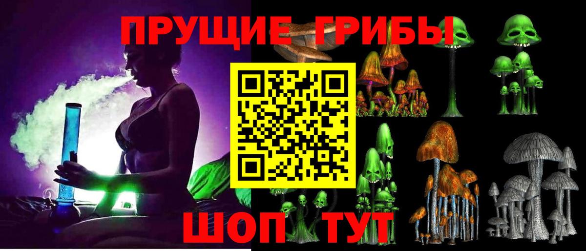 Пенза  даркнет сайт  Галлюциногенные грибы Magic Shrooms  Вход с VPN  Псилоцибиновые грибы Magic Shrooms 